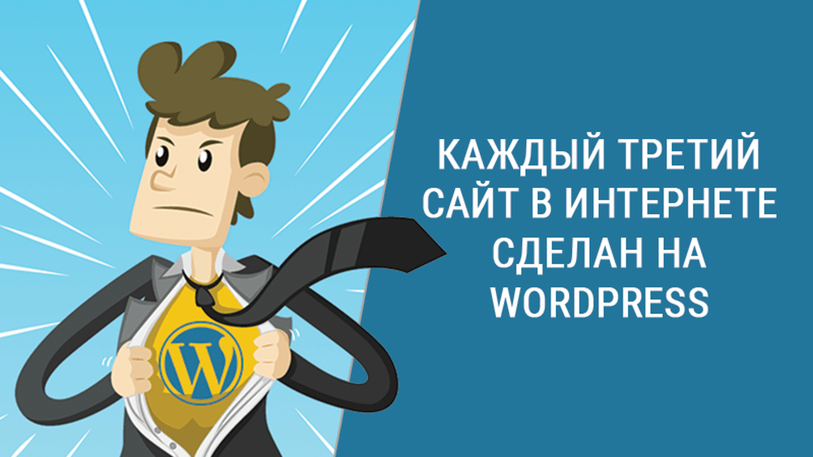 Основы Работы с WordPress: Путеводитель для Новичков